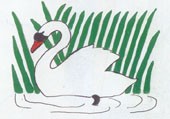 swan_by_reeds