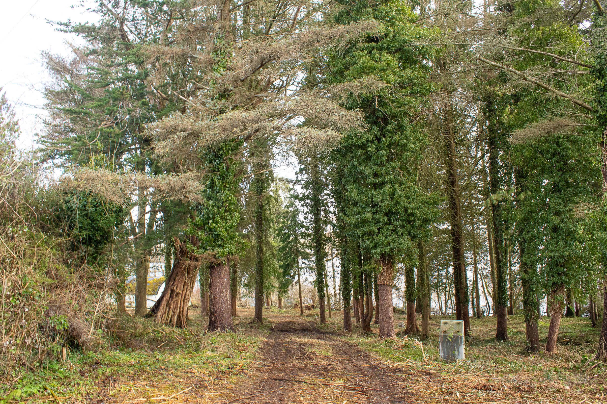 Avenue entrance to Dunrovin