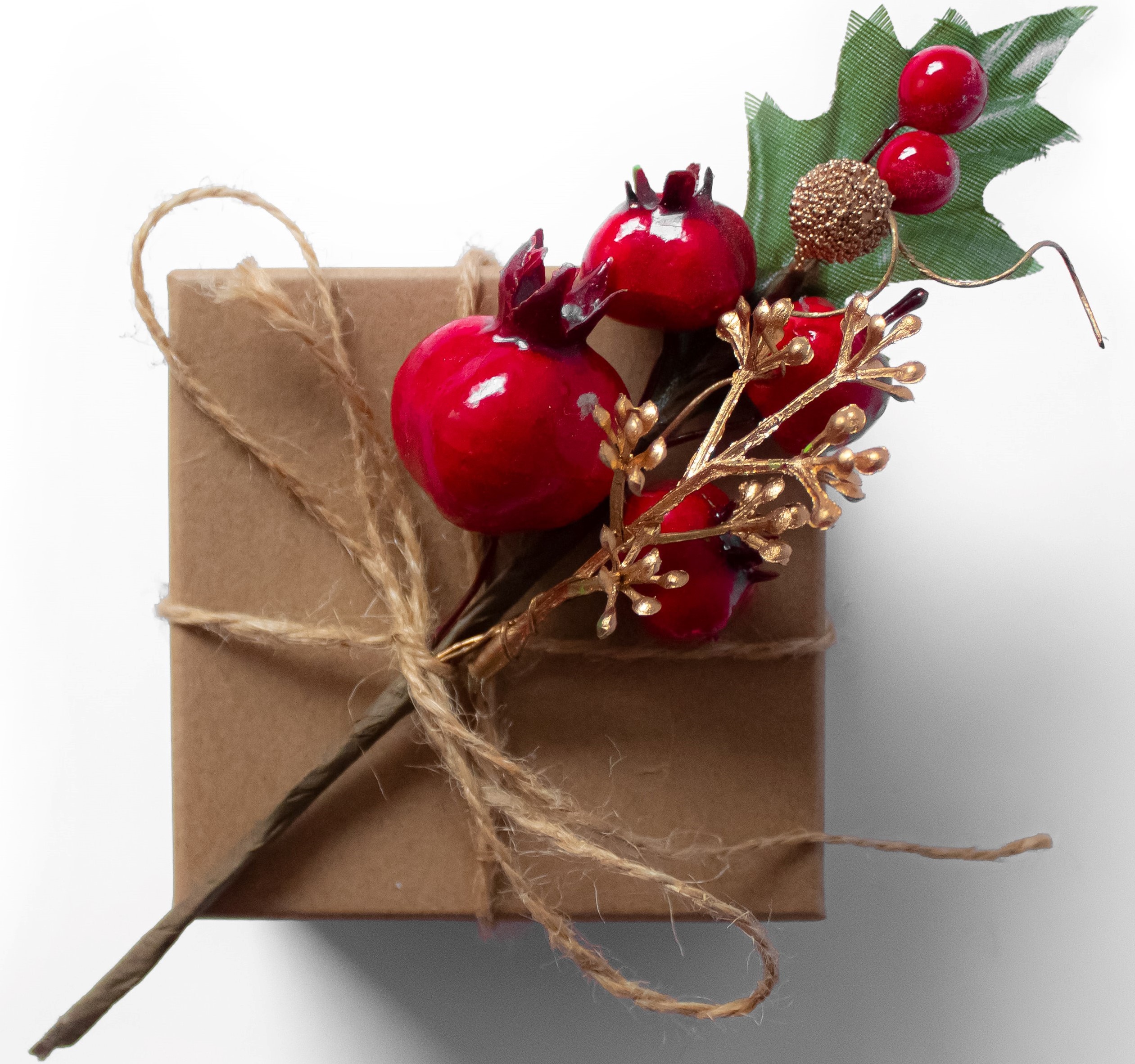 Give a gift of membership this Christmas