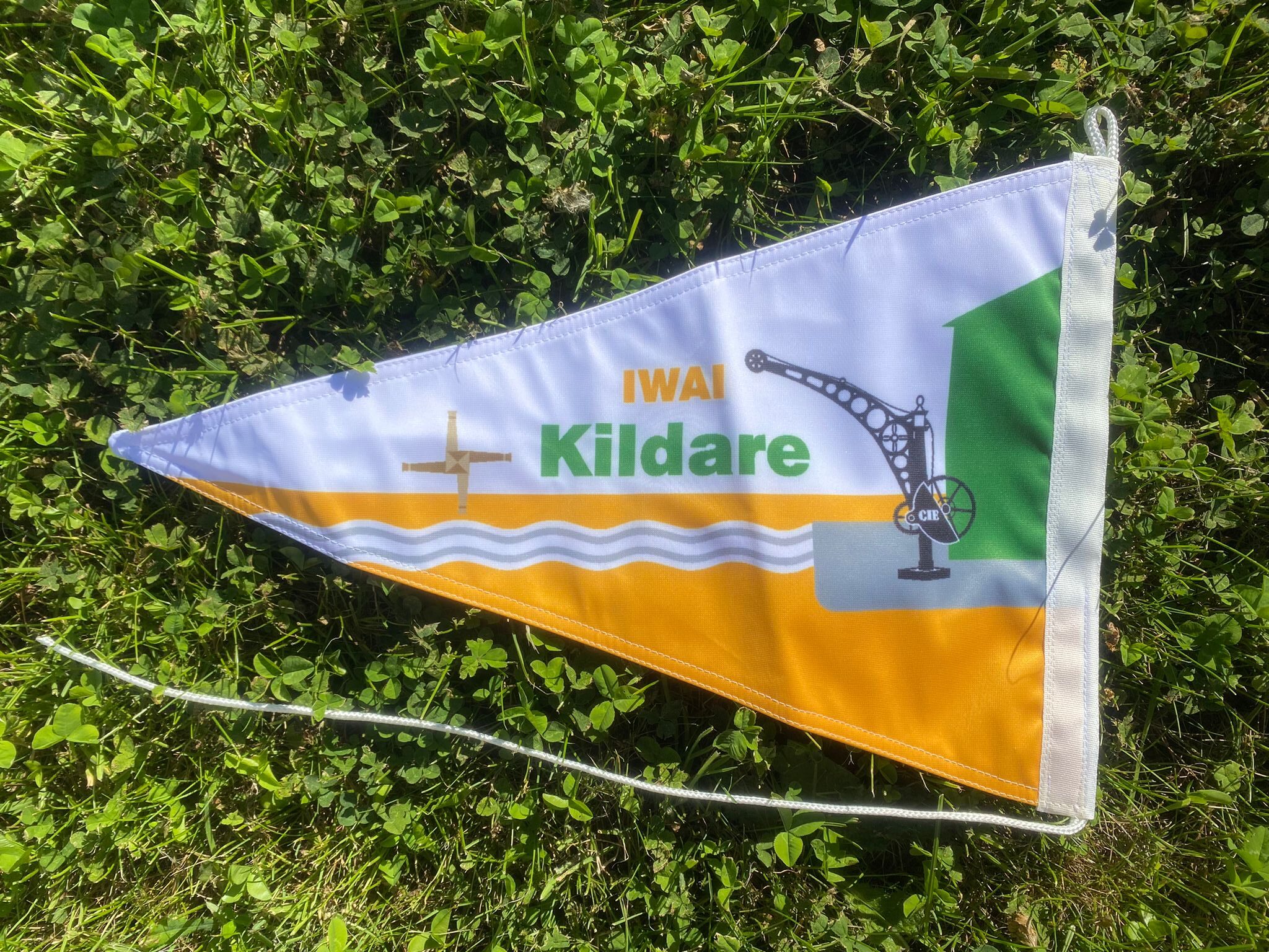 Kildare Branch Burgee - Image 2