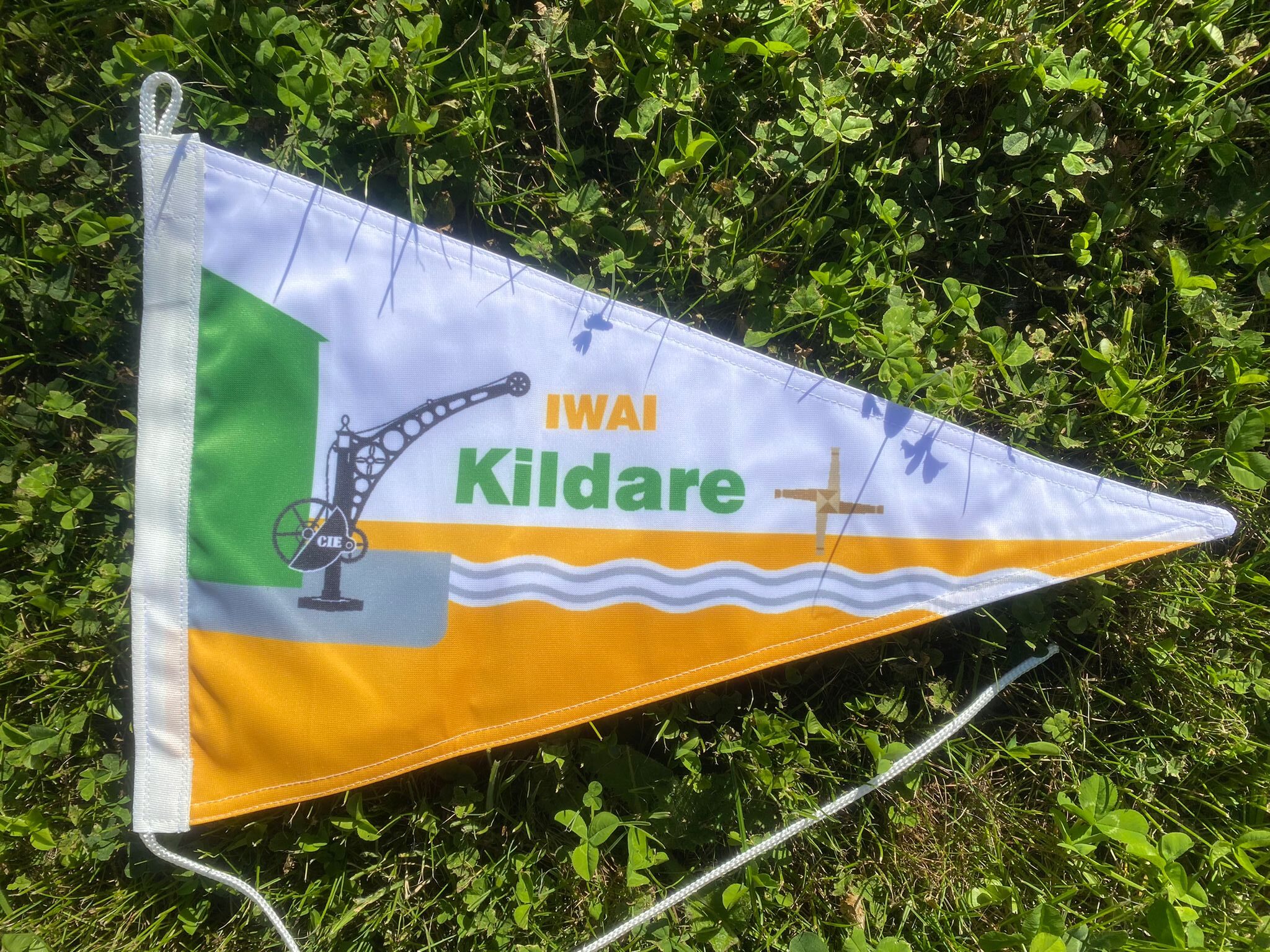 Kildare Branch Burgee